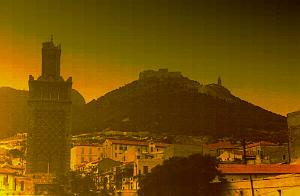 ORAN 02411